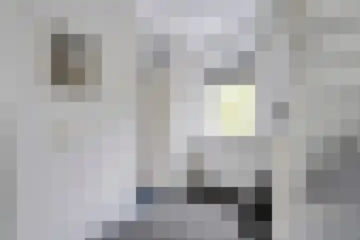 Wulp 26 Raalte thumbnail 19