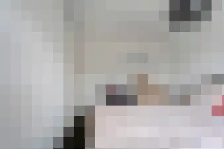 Wulp 26 Raalte thumbnail 22