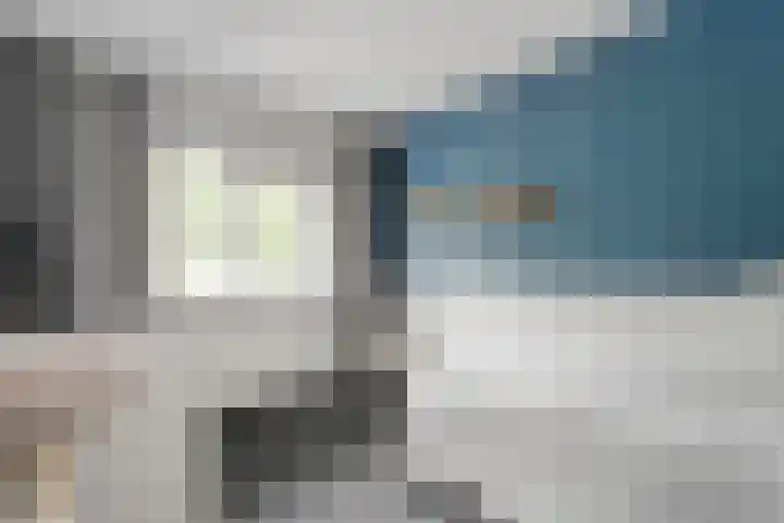 Wulp 26 Raalte thumbnail 23