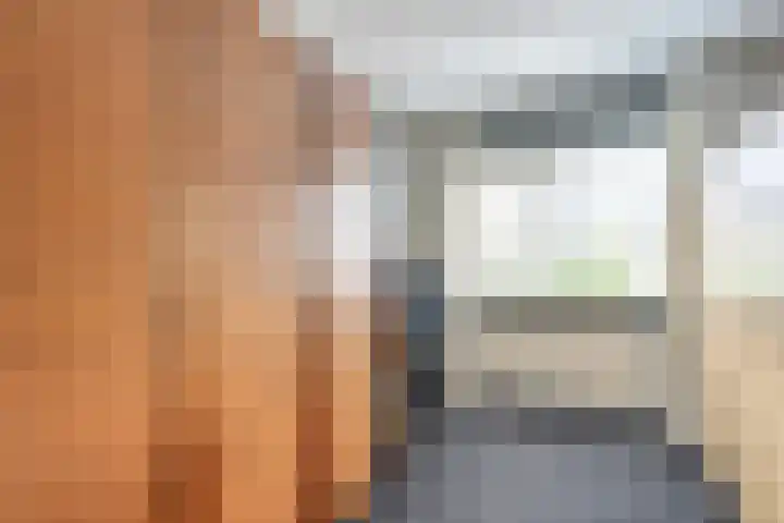 Wulp 26 Raalte thumbnail 25