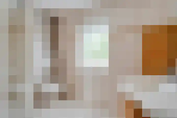 Wulp 26 Raalte thumbnail 27