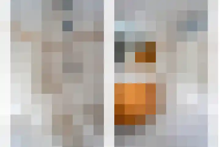 Wulp 26 Raalte thumbnail 28
