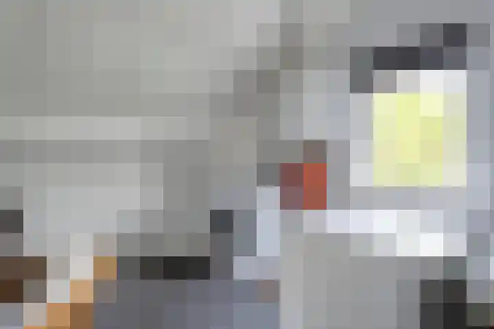 Wulp 26 Raalte thumbnail 29