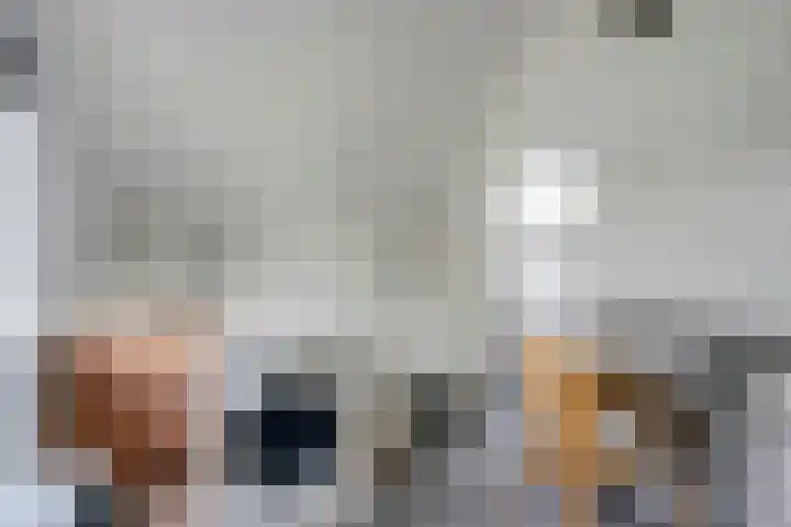 Wulp 26 Raalte thumbnail 30