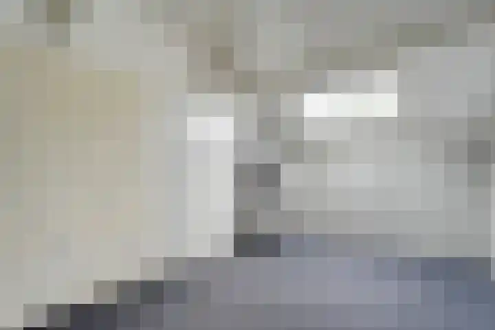 Wulp 26 Raalte thumbnail 31