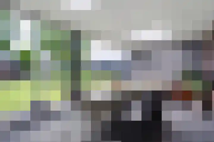 Wulp 26 Raalte thumbnail 33