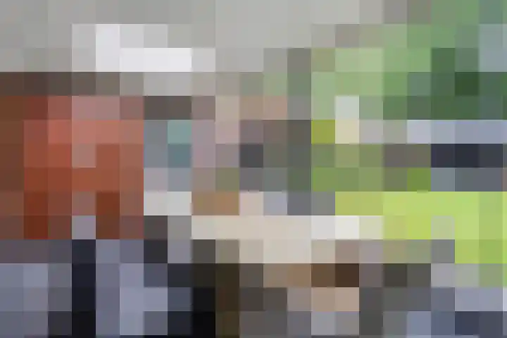 Wulp 26 Raalte thumbnail 36