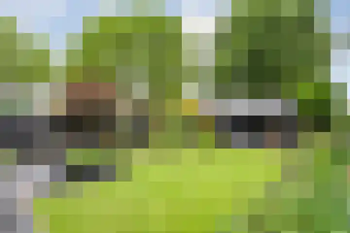 Wulp 26 Raalte thumbnail 38