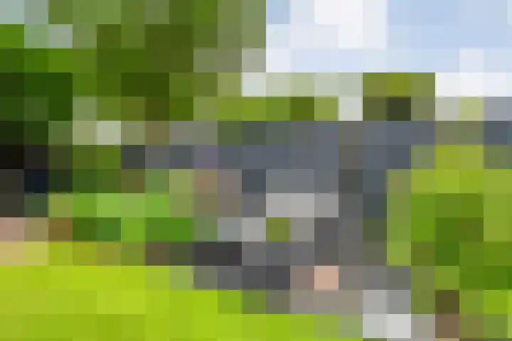 Wulp 26 Raalte thumbnail 39