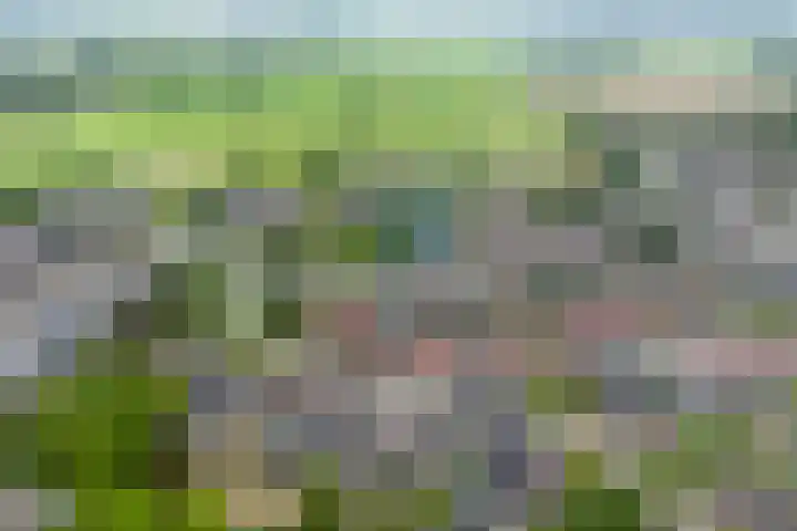 Wulp 26 Raalte thumbnail 4