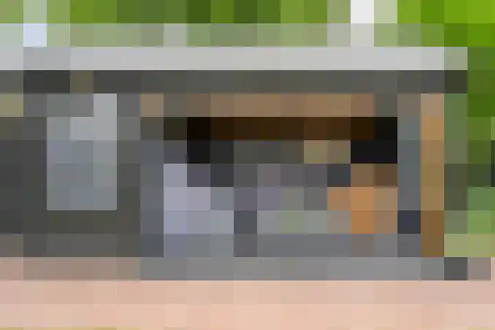 Wulp 26 Raalte thumbnail 40