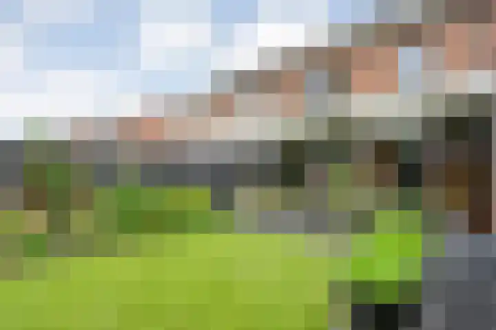Wulp 26 Raalte thumbnail 42