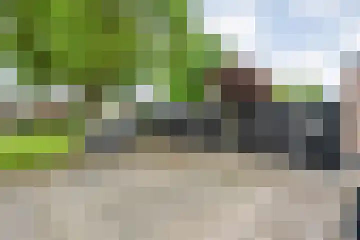 Wulp 26 Raalte thumbnail 43