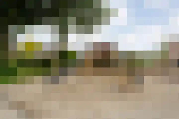Wulp 26 Raalte thumbnail 45