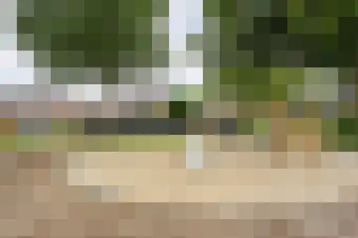 Wulp 26 Raalte thumbnail 46