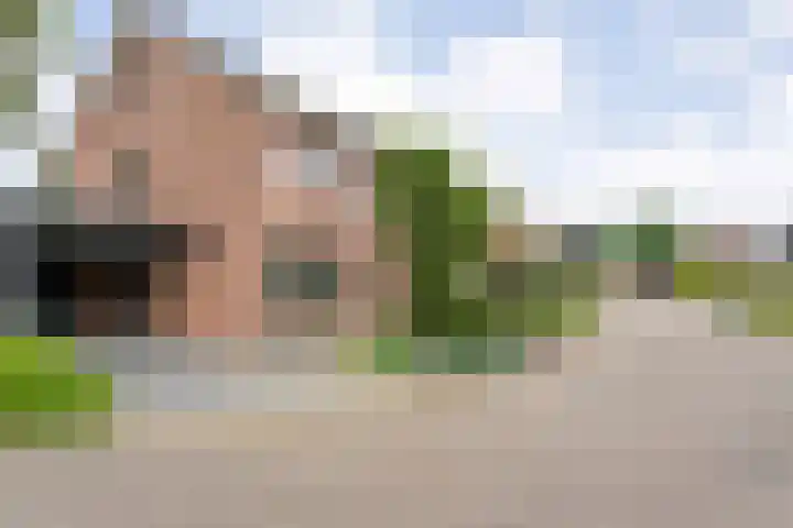 Wulp 26 Raalte thumbnail 5