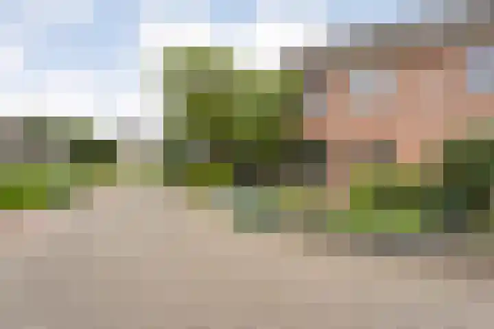 Wulp 26 Raalte thumbnail 6