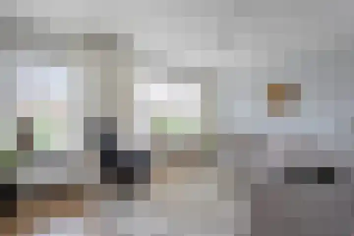 Wulp 26 Raalte thumbnail 9