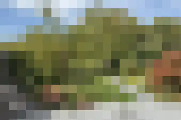 Wulp 3 Ouderkerk aan de Amstel thumbnail 12