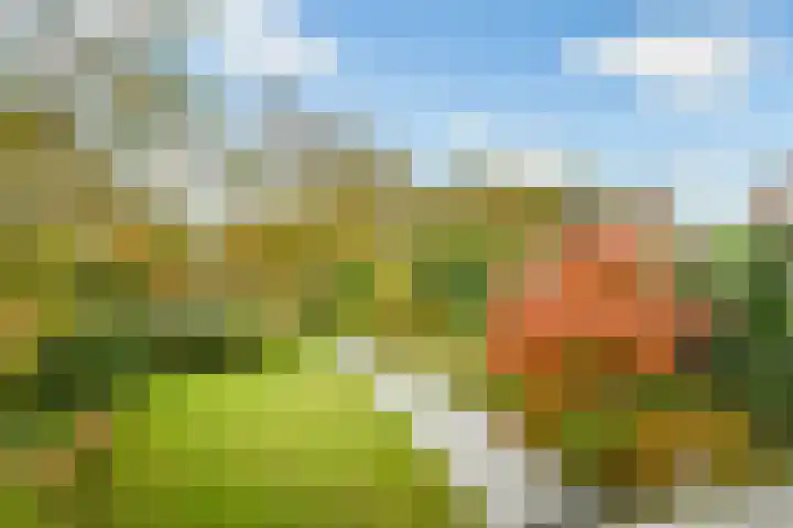 Wulp 3 Ouderkerk aan de Amstel thumbnail 13