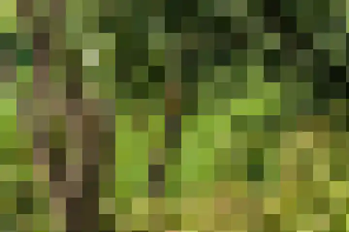 Wulp 3 Ouderkerk aan de Amstel thumbnail 15