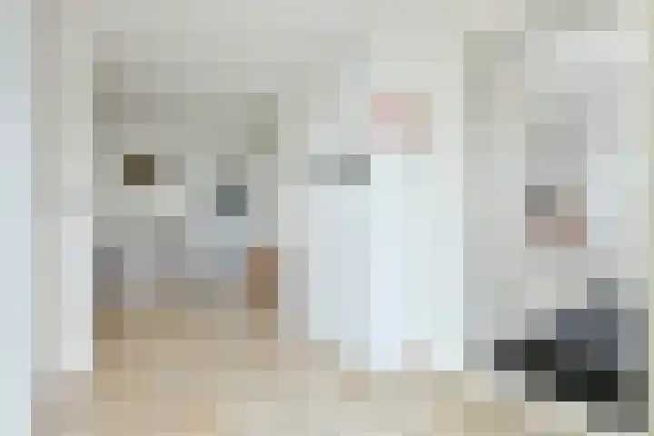 Wulp 3 Ouderkerk aan de Amstel thumbnail 17