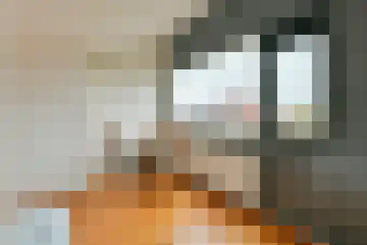 Wulp 3 Ouderkerk aan de Amstel thumbnail 27