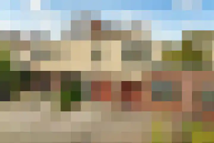 Wulp 3 Ouderkerk aan de Amstel thumbnail 29