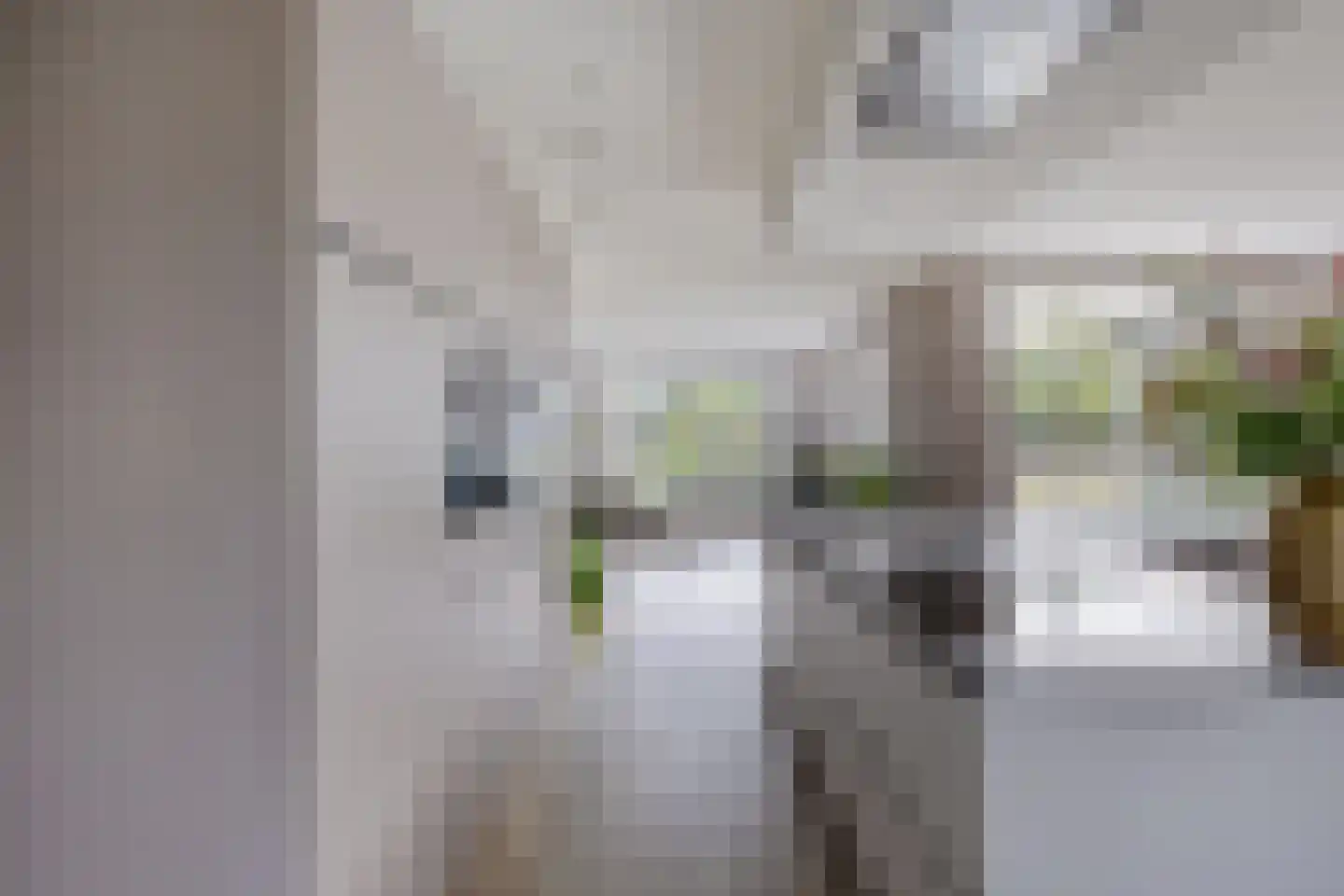 Wulp 3 Venray thumbnail 13