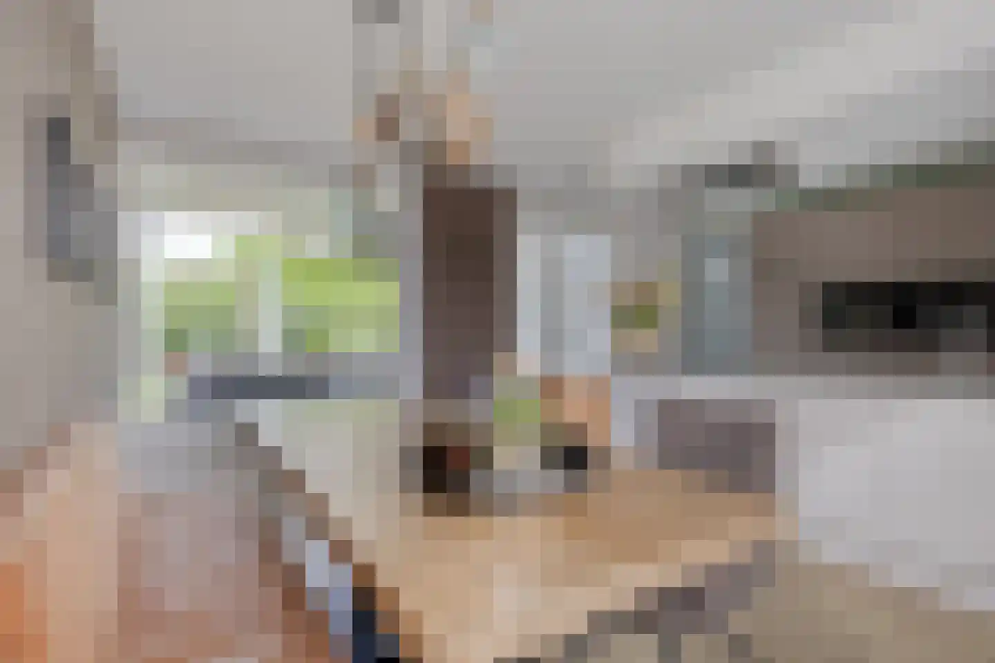 Wulp 3 Venray thumbnail 14