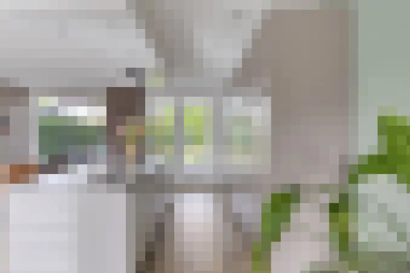 Wulp 3 Venray thumbnail 17