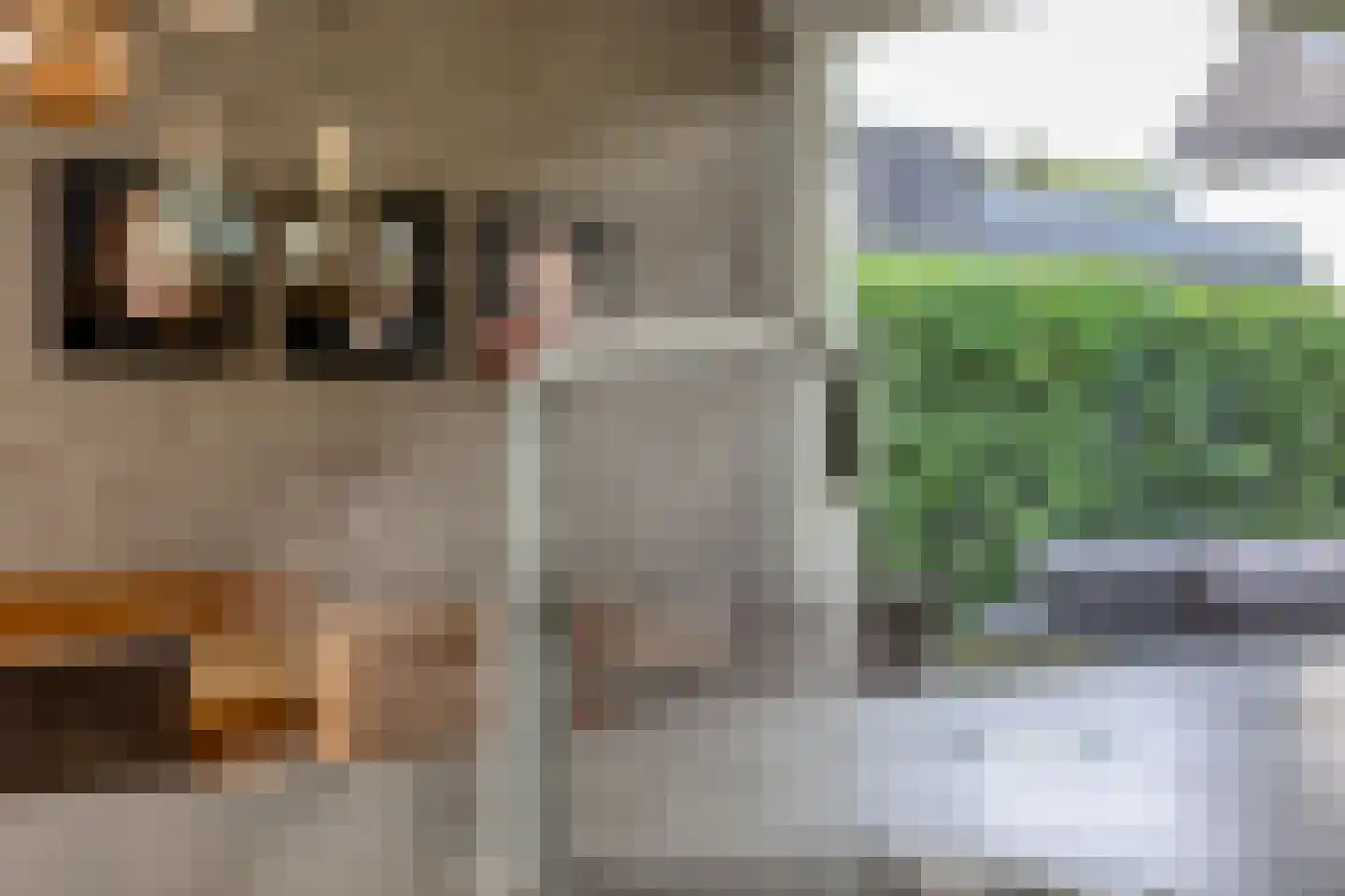Wulp 3 Venray thumbnail 19