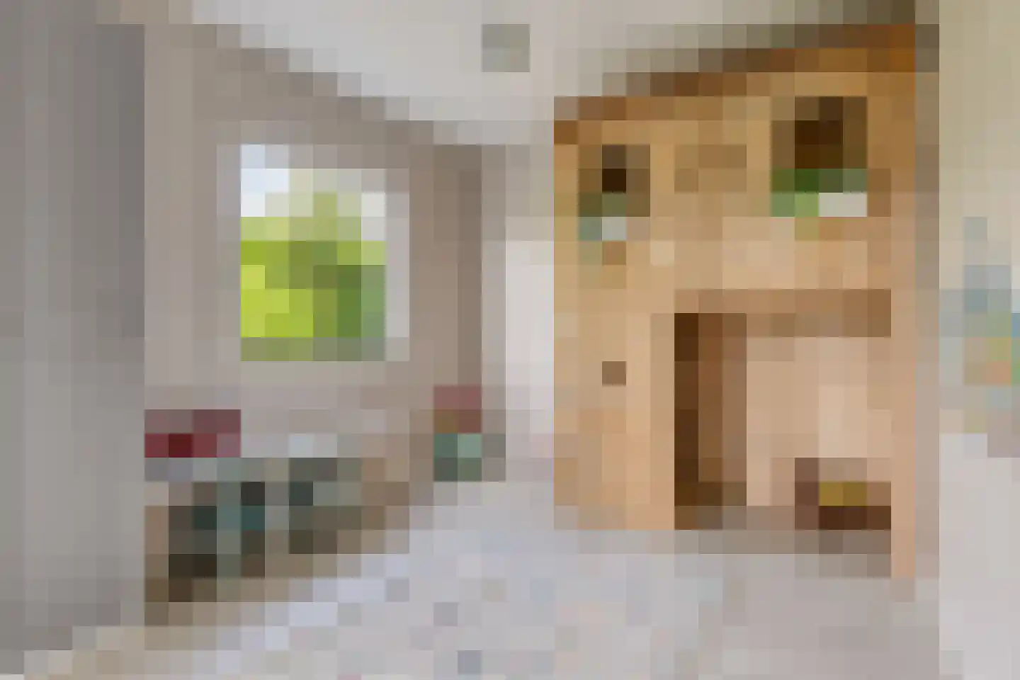 Wulp 3 Venray thumbnail 22