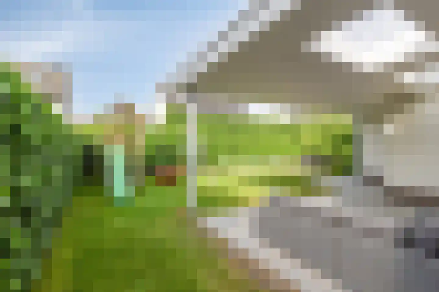 Wulp 3 Venray thumbnail 40