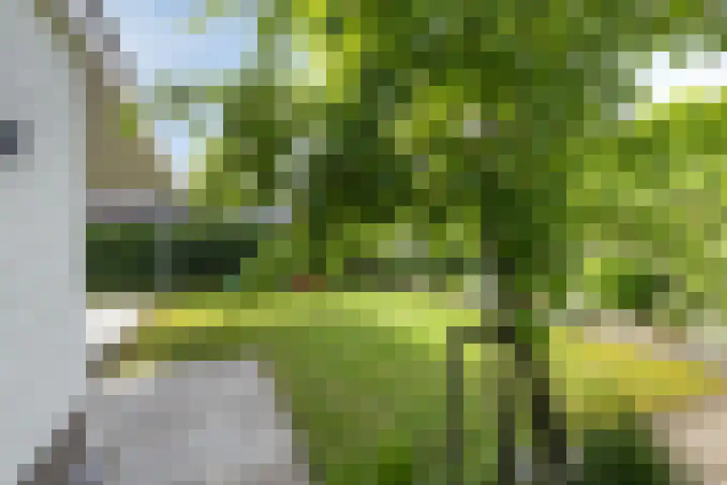 Wulp 3 Venray thumbnail 44