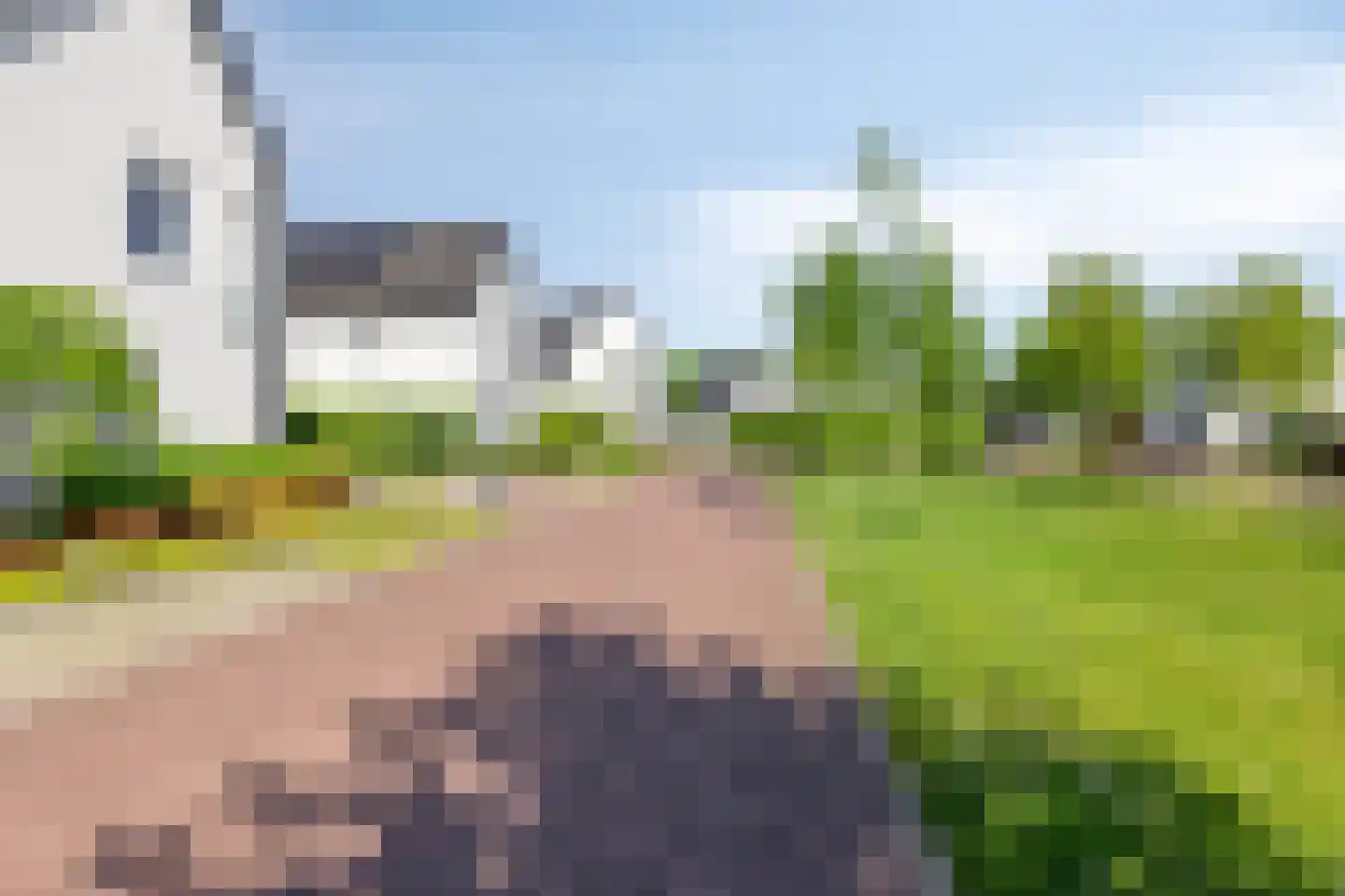 Wulp 3 Venray thumbnail 47