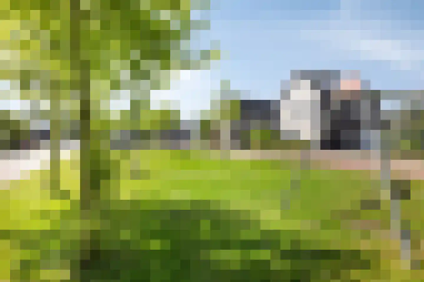 Wulp 3 Venray thumbnail 48