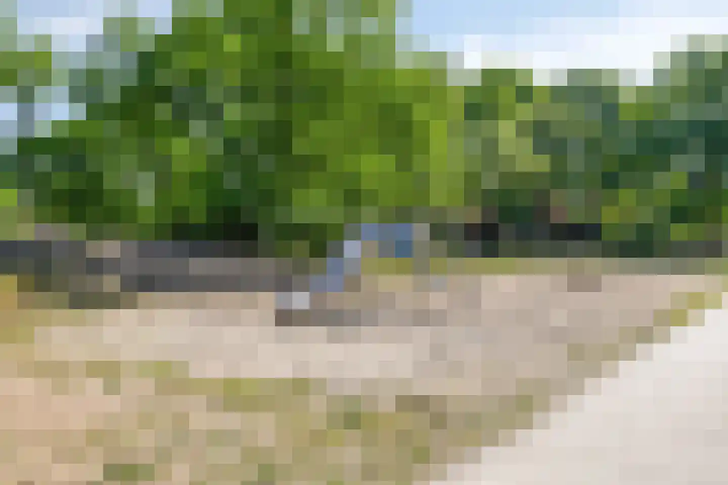 Wulp 3 Venray thumbnail 50