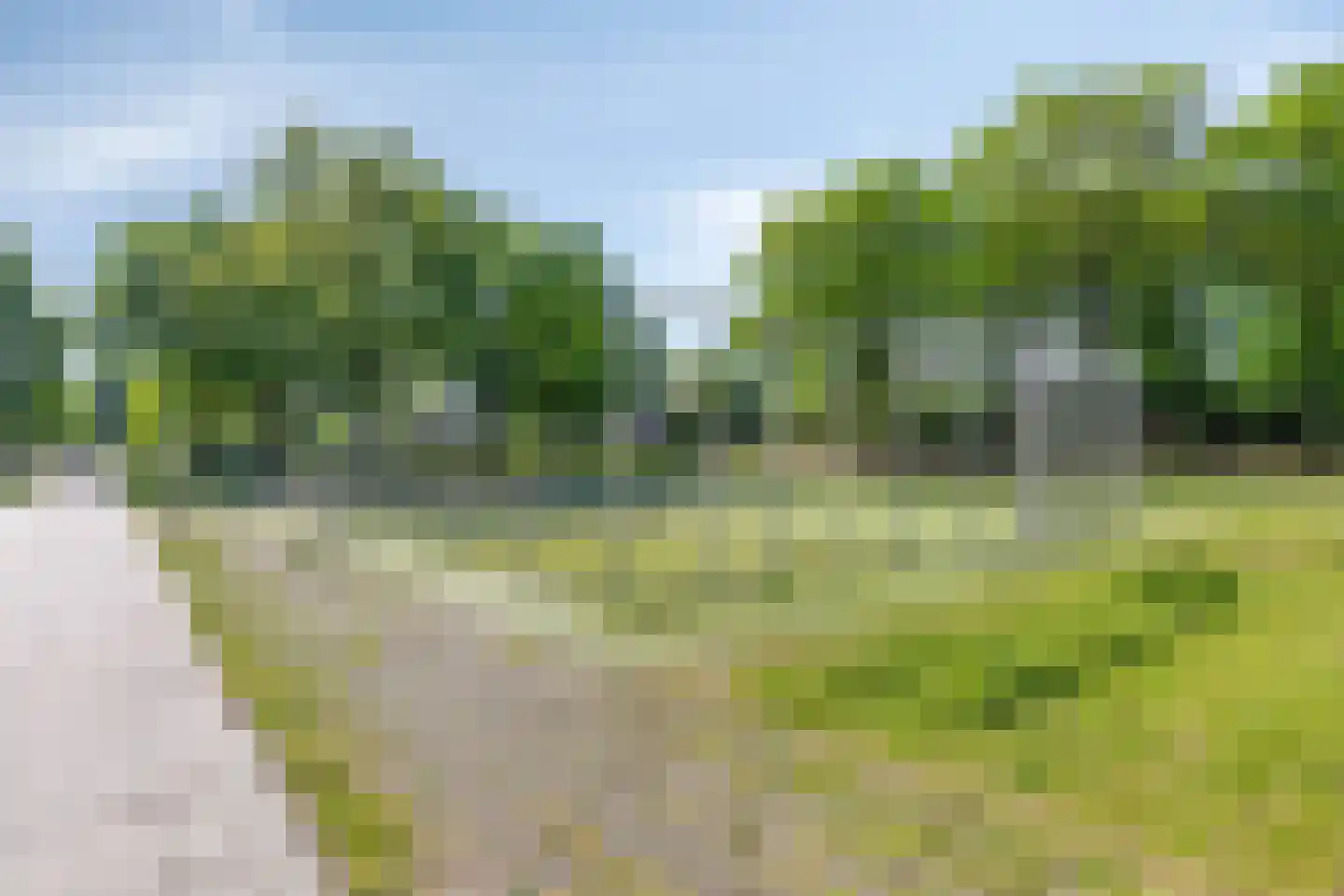 Wulp 3 Venray thumbnail 51