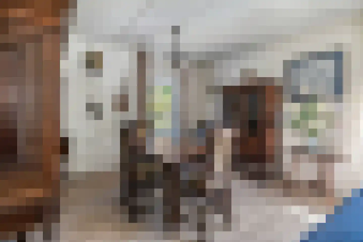 Wulp 4 Raalte thumbnail 10