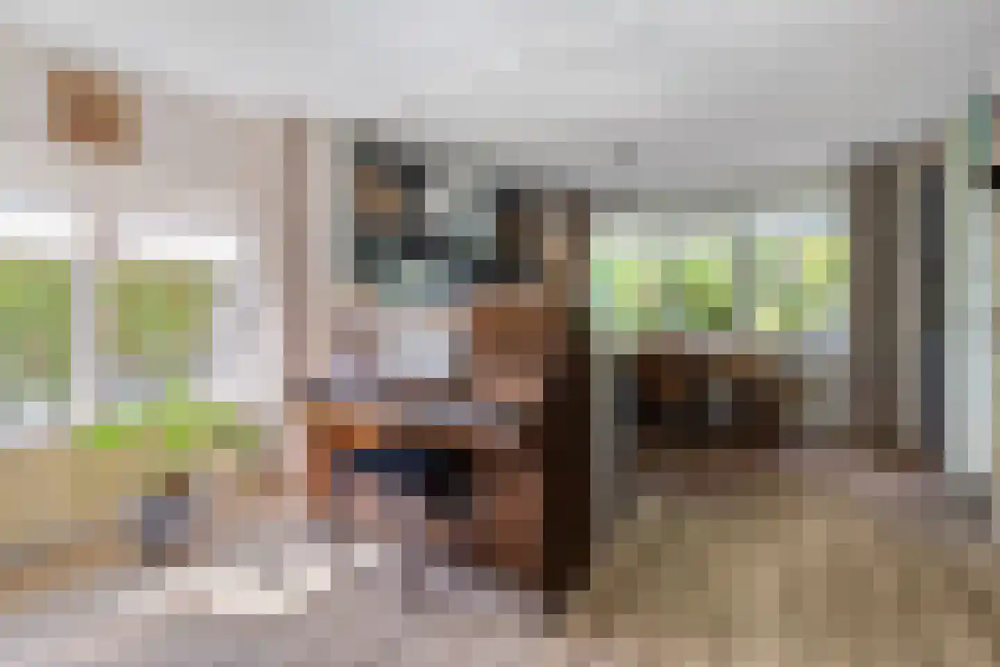 Wulp 4 Raalte thumbnail 12