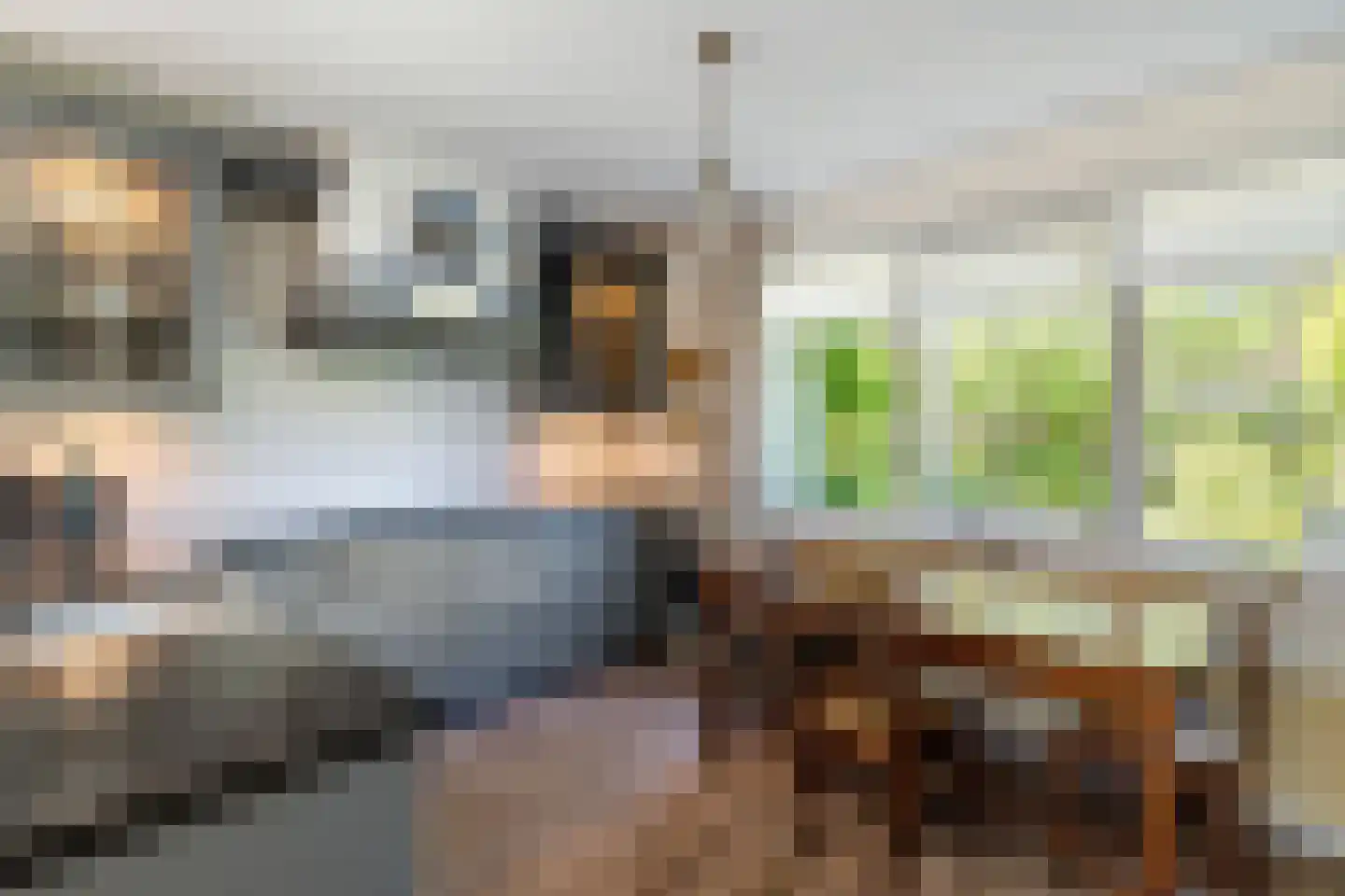 Wulp 4 Raalte thumbnail 13