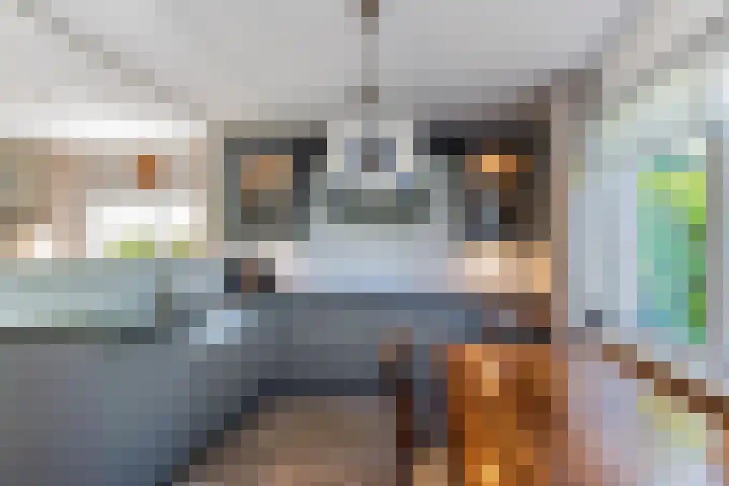 Wulp 4 Raalte thumbnail 14