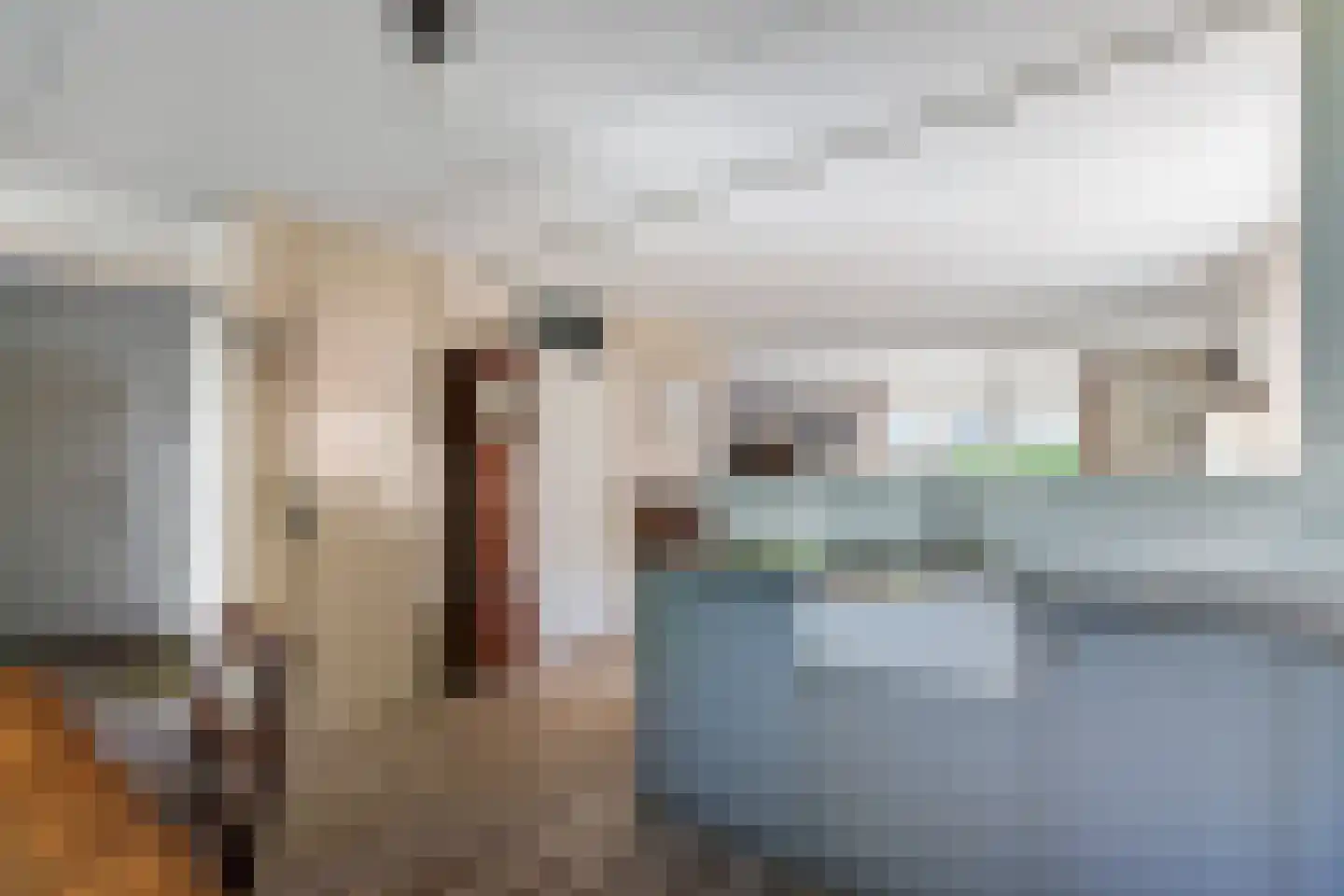 Wulp 4 Raalte thumbnail 15