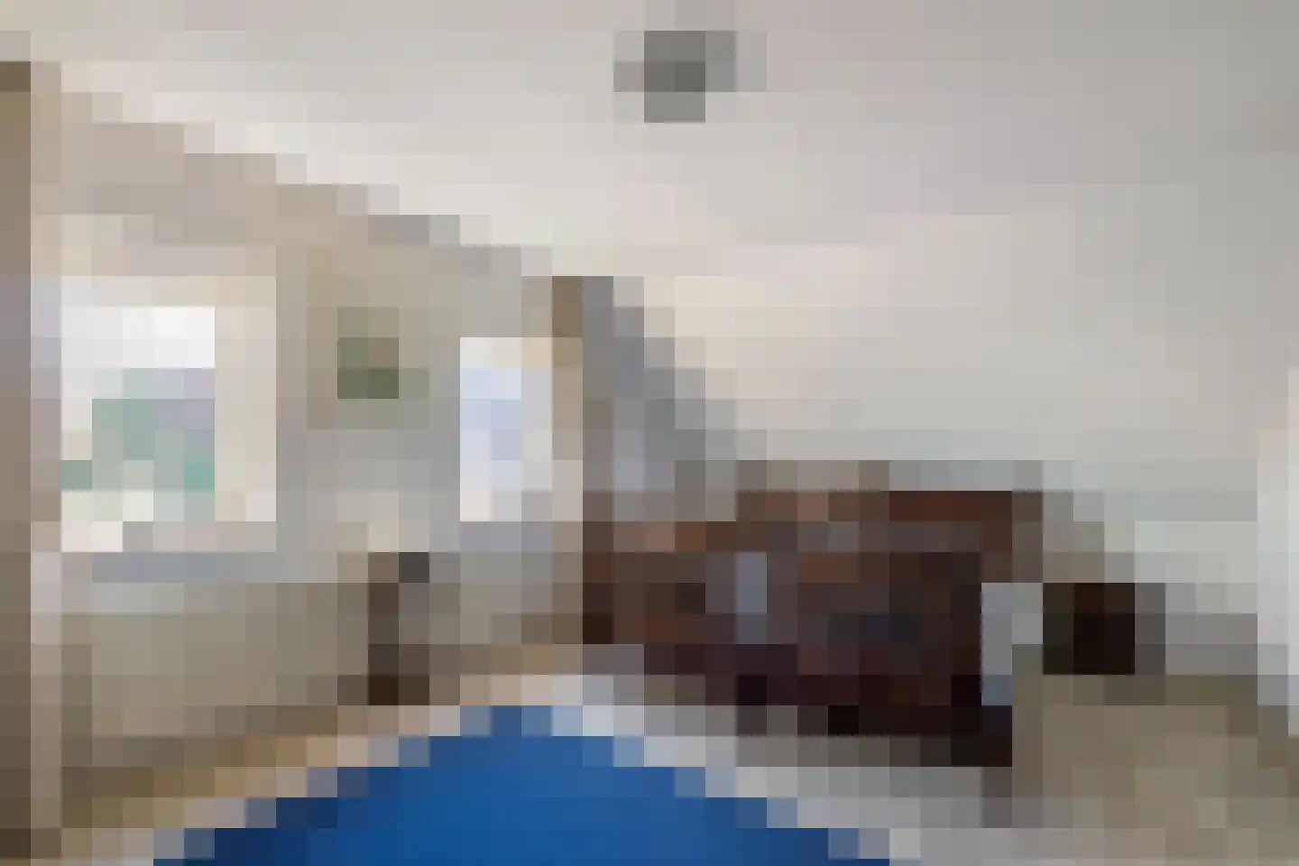 Wulp 4 Raalte thumbnail 23