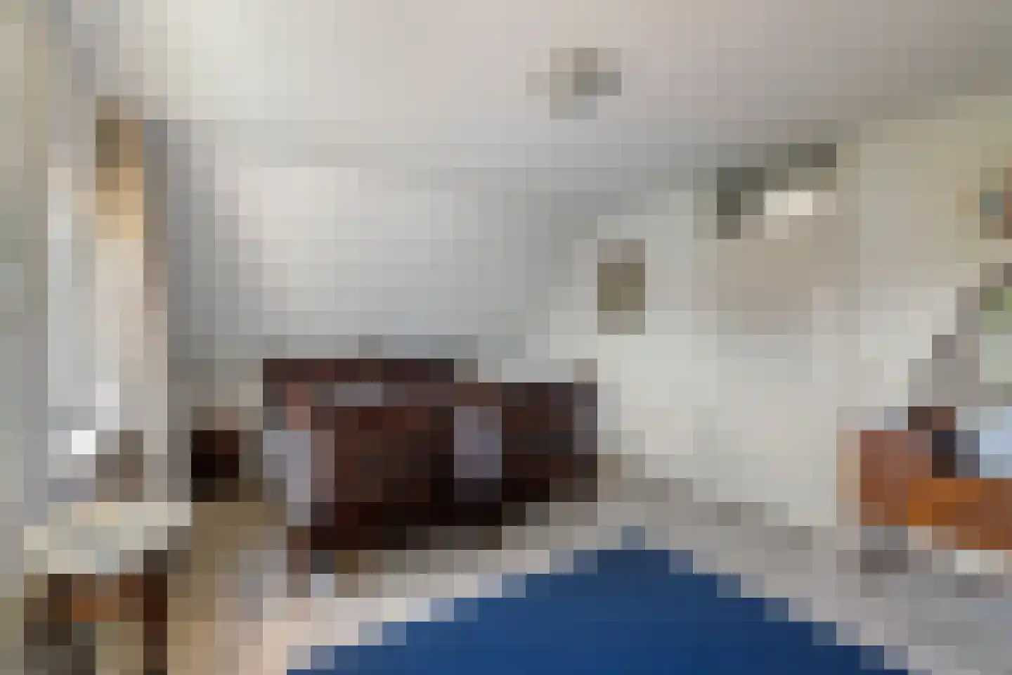 Wulp 4 Raalte thumbnail 24