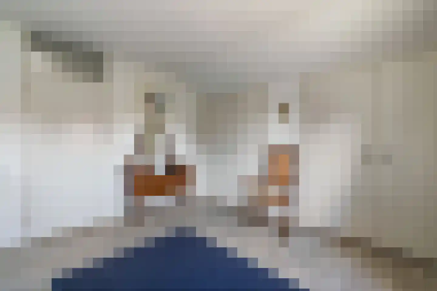 Wulp 4 Raalte thumbnail 25