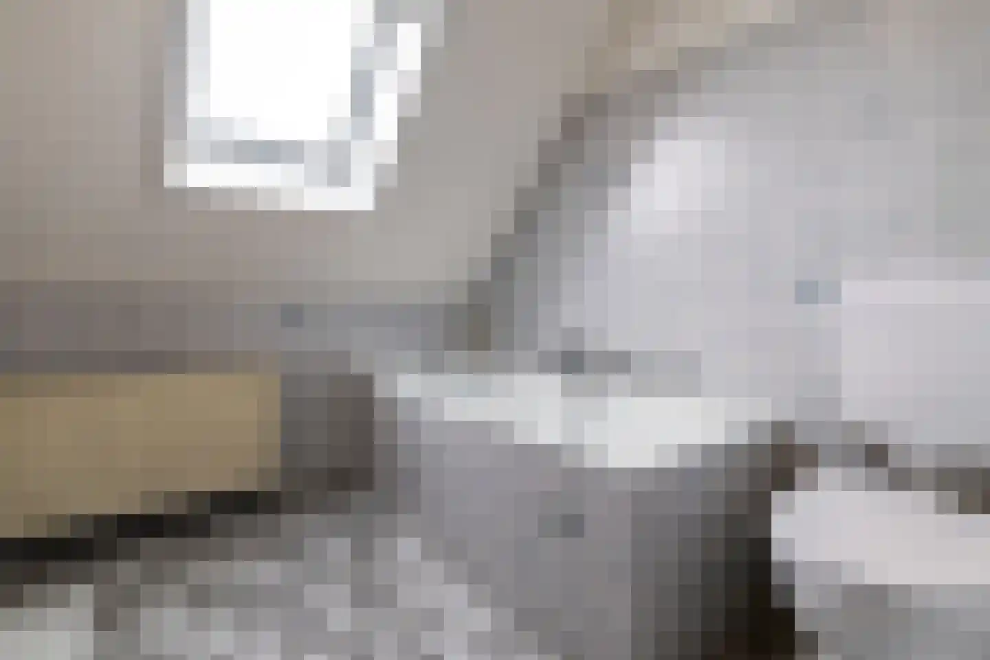 Wulp 4 Raalte thumbnail 29