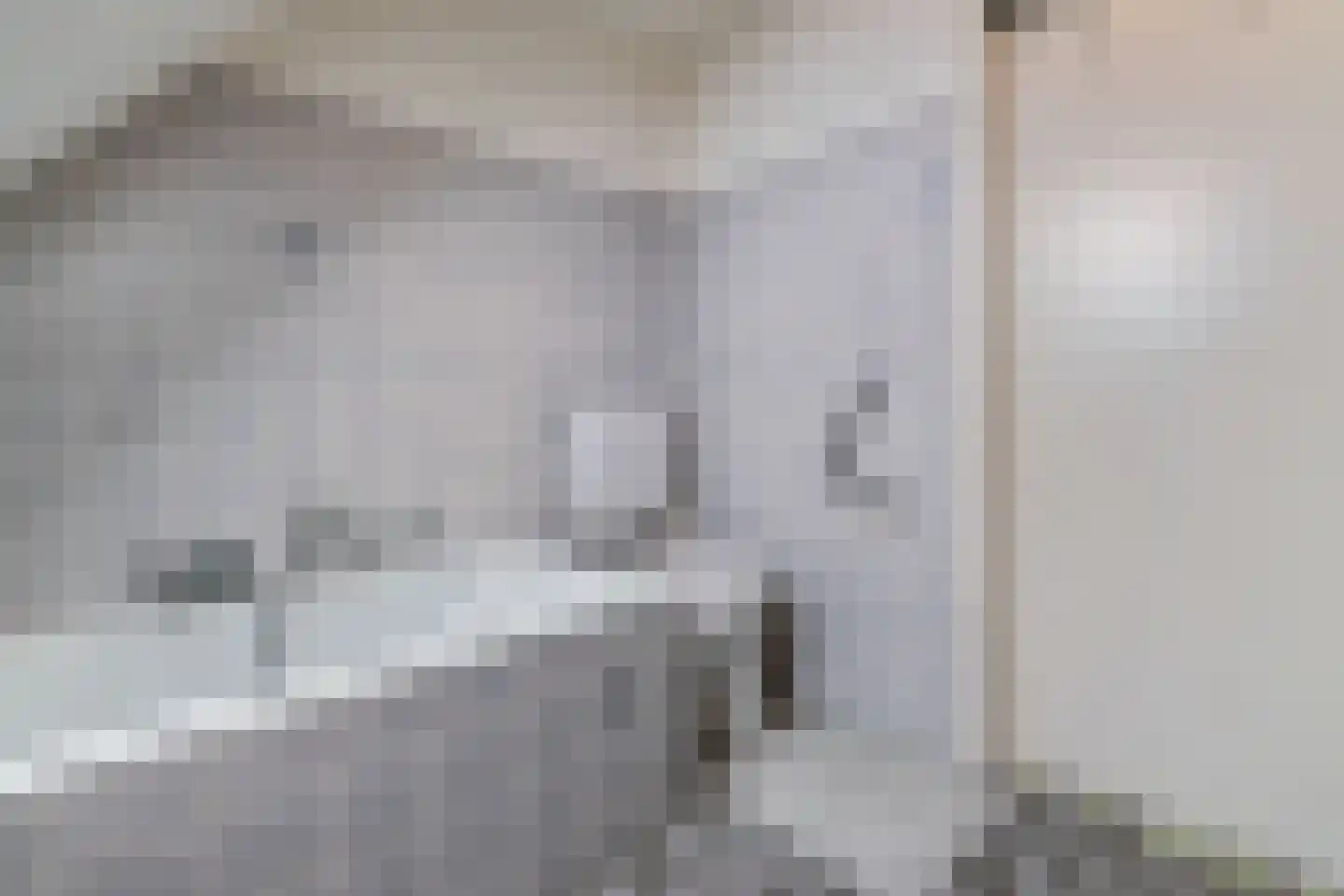 Wulp 4 Raalte thumbnail 31
