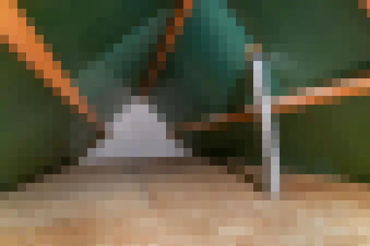 Wulp 4 Raalte thumbnail 33